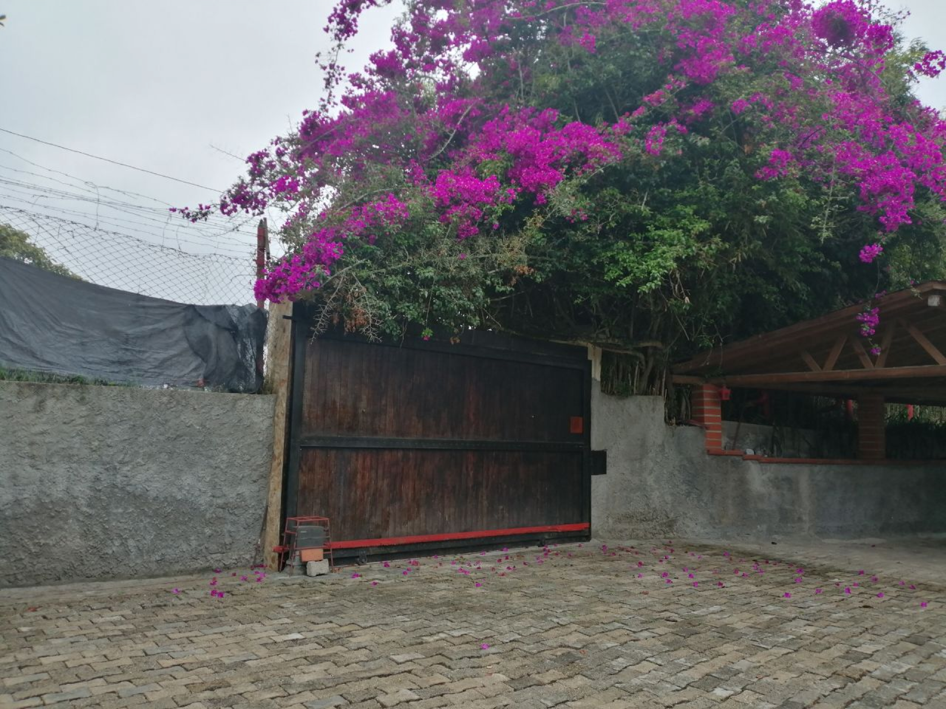 Finca en venta en Rionegro (Antioquia), $850 Millones, Entrada a